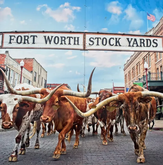 Dallas – 2026 World Cup host city