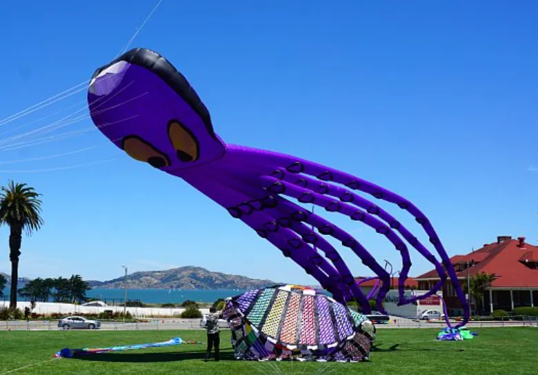 sf bay world cup guide 02