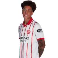 Axel Witsel