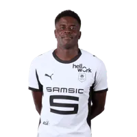 Brice Samba