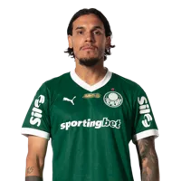 Gustavo Gómez