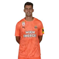 Niklas Hedl